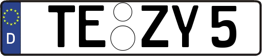 TE-ZY5