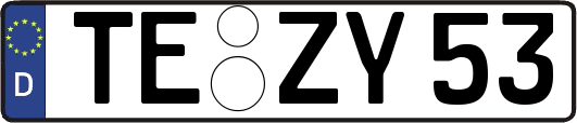 TE-ZY53