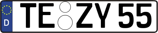 TE-ZY55