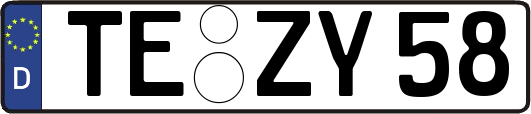 TE-ZY58