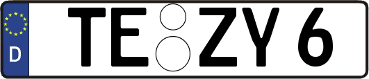 TE-ZY6