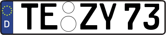 TE-ZY73