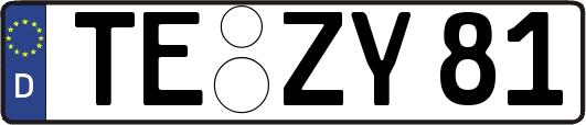 TE-ZY81