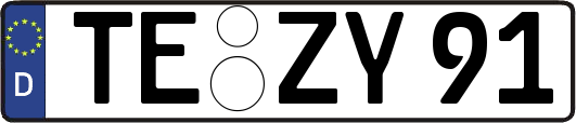 TE-ZY91