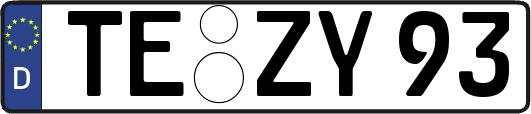 TE-ZY93