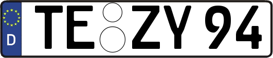 TE-ZY94