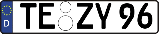 TE-ZY96