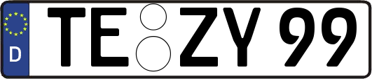 TE-ZY99