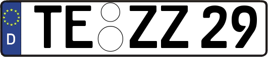 TE-ZZ29