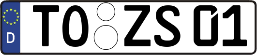 TO-ZS01
