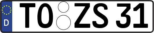 TO-ZS31