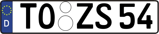 TO-ZS54
