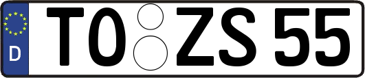 TO-ZS55