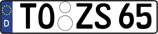 TO-ZS65
