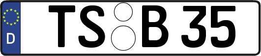 TS-B35