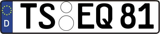 TS-EQ81