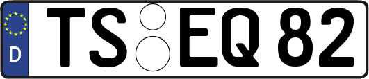 TS-EQ82