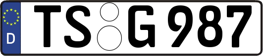 TS-G987