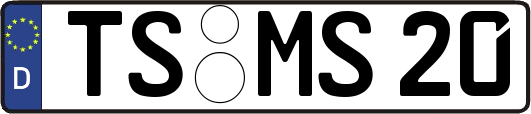 TS-MS20