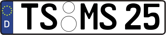 TS-MS25