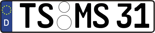 TS-MS31