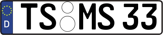 TS-MS33