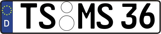 TS-MS36