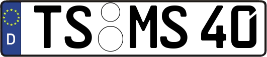 TS-MS40