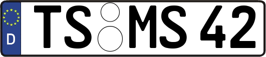 TS-MS42