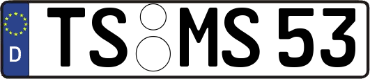TS-MS53