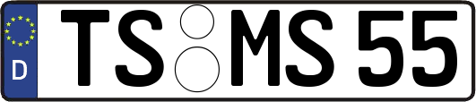 TS-MS55