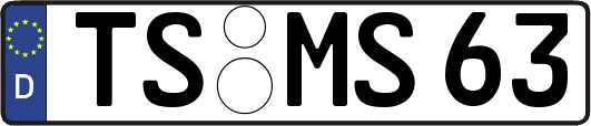 TS-MS63