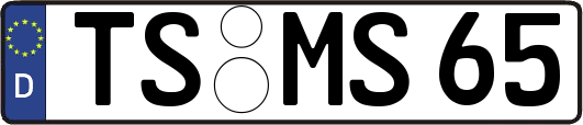 TS-MS65