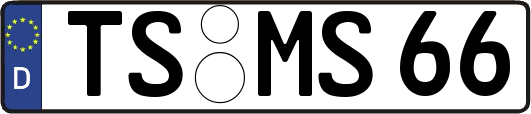 TS-MS66