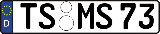 TS-MS73