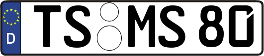 TS-MS80