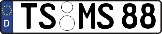 TS-MS88