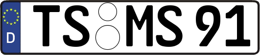 TS-MS91