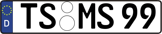 TS-MS99