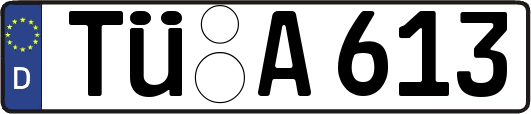 TÜ-A613