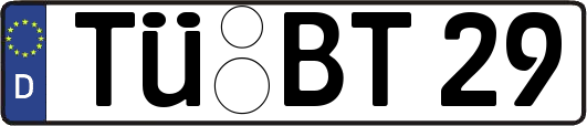 TÜ-BT29
