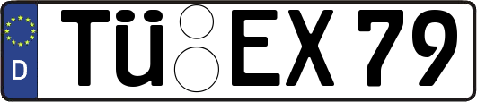 TÜ-EX79