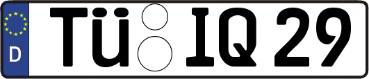 TÜ-IQ29