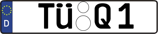 TÜ-Q1