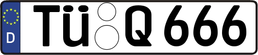 TÜ-Q666