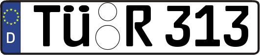 TÜ-R313