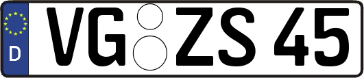 VG-ZS45
