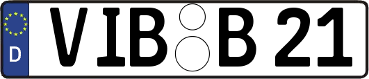 VIB-B21