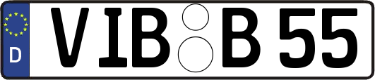VIB-B55