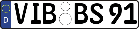 VIB-BS91